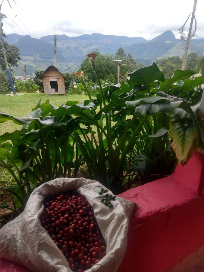 Finca Cafetera el Coral Jardín Exterior foto